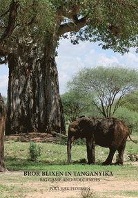 bokomslag Bror Blixen in Tanganyika