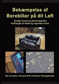 bokomslag Bekæmpelse af Borebiller på dit Loft