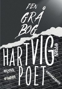 bokomslag Den grå bog