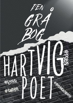 bokomslag Den grå bog