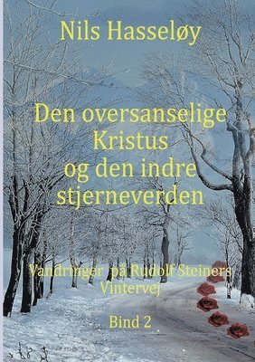Nils Hasseløy - Den oversanselige Kristus og den indre stjerneverden, Häftad