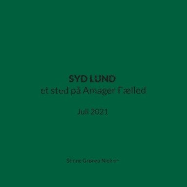 bokomslag SYD LUND et sted p Amager Flled