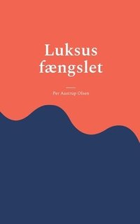 bokomslag Luksus fngslet