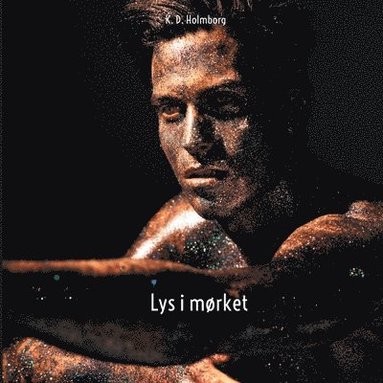 bokomslag Lys i mørket