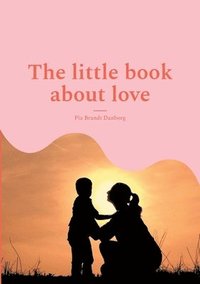 bokomslag little book about love