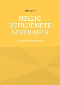 bokomslag Hellig Ufuldendte serenader