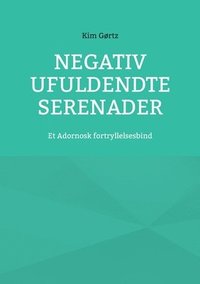 bokomslag Negativ Ufuldendte serenader