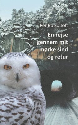 bokomslag En rejse gennem mit mørke sind og retur