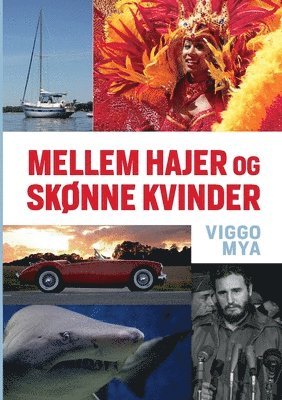 bokomslag Mellem hajer og skonne kvinder