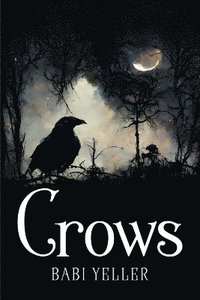 bokomslag Crows