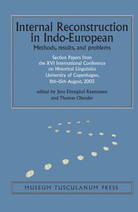 bokomslag Internal Reconstruction in Indo-European