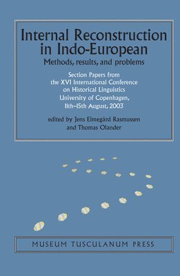 bokomslag Internal Reconstruction in Indo-European