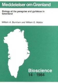 bokomslag Biology of the Peregrine & Gryfalcon in Greenland