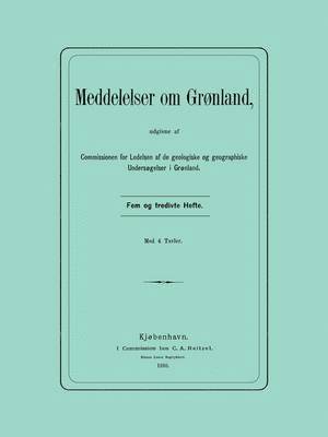 bokomslag Mineralogisches Reisejournal über Grönland 1806-13