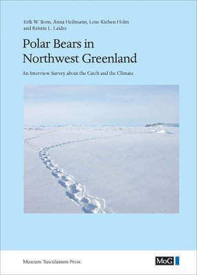 Polar Bears in Northwest Greenland 1