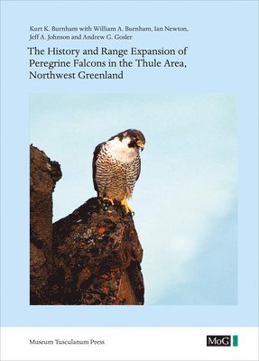 Kurt K. Burnham, William A. Burnham, Ian Newton, Jeff A. Johnson, Andrew G. Gosler - History and Range Expansion of Peregrine Falcons in the Thule Area, Northwest Greenland, Häftad
