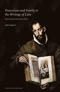 bokomslag Possessions and Family in the Writings of Luke