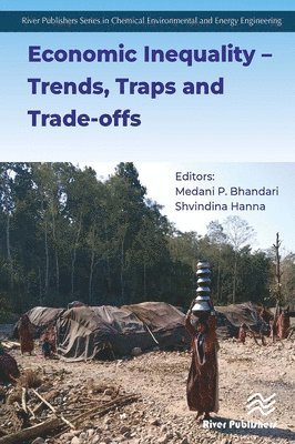 bokomslag Economic Inequality  Trends, Traps and Trade-offs