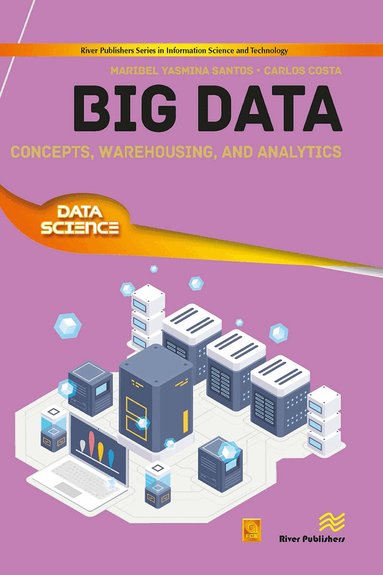 Maribel Yasmina Santos, Carlos Costa - Big Data, Häftad