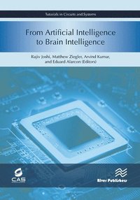 bokomslag From Artificial Intelligence to Brain Intelligence