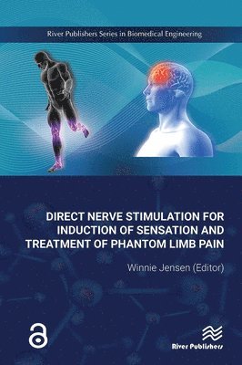 Direct Nerve Stimulation for Induction of Sensation and Treatment of Phantom Limb Pain 1