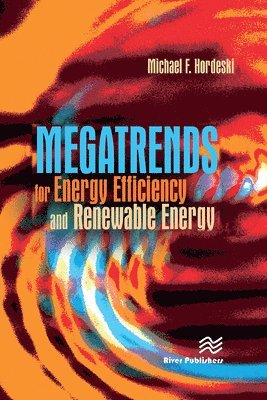 bokomslag Megatrends for Energy Efficiency and Renewable Energy