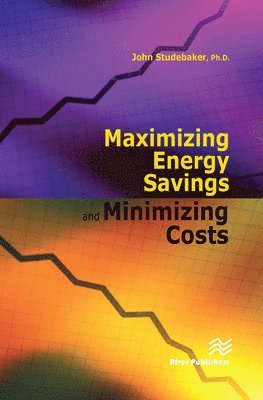 bokomslag Maximizing Energy Savings and Minimizing Energy Costs