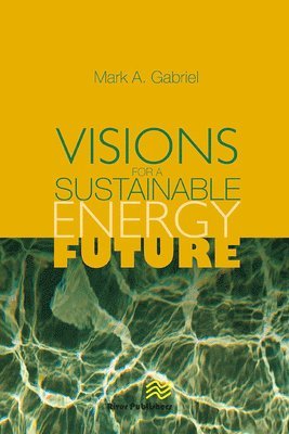 bokomslag Visions for a Sustainable Energy Future