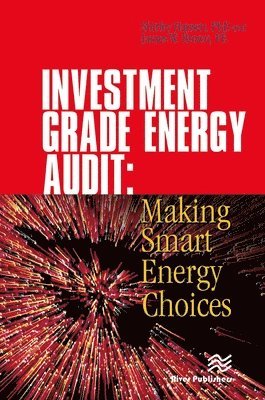 bokomslag Investment Grade Energy Audit