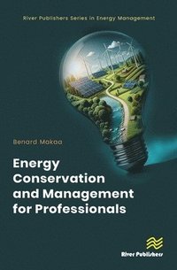 bokomslag Energy Conservation and Management for Professionals