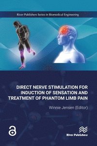 bokomslag Direct Nerve Stimulation for Induction of Sensation and Treatment of Phantom Limb Pain