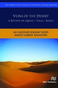 bokomslag Veins of the Desert