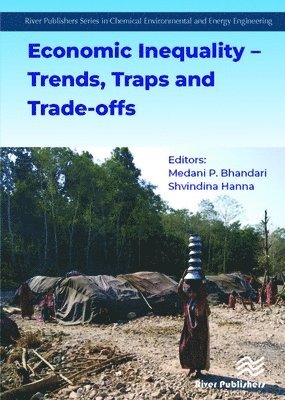 bokomslag Economic Inequality - Trends, Traps and Trade-offs