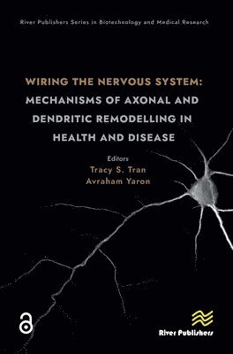 bokomslag Wiring the Nervous System: Mechanisms of Axonal and Dendritic Remodelling in Health and Disease