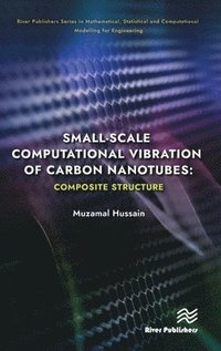 bokomslag Small-scale Computational Vibration of Carbon Nanotubes: Composite Structure