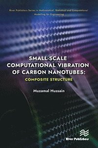 bokomslag Small-scale Computational Vibration of Carbon Nanotubes: Composite Structure