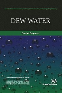 bokomslag Dew Water