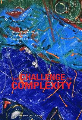 bokomslag Challenge of Complexity