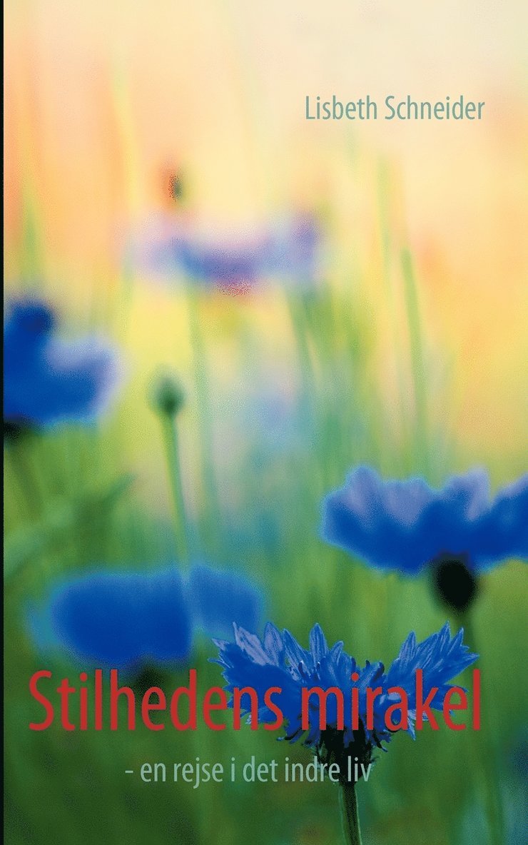Lisbeth Schneider - Stilhedens mirakel, Häftad