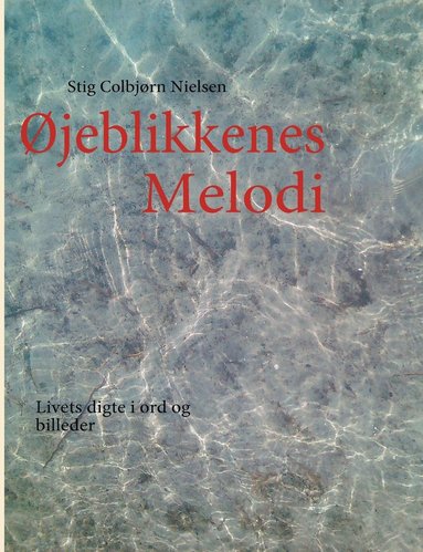 bokomslag jeblikkenes Melodi