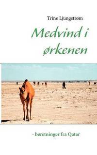 bokomslag Medvind i ørkenen - beretninger fra Qatar