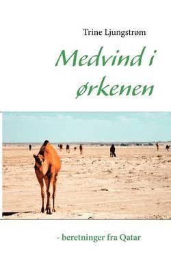 bokomslag Medvind i ørkenen - beretninger fra Qatar