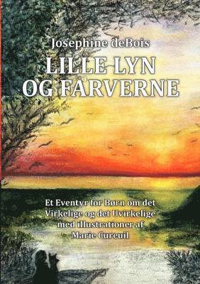 bokomslag Lille Lyn og farverne