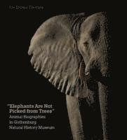 bokomslag Elephants Are Not Picked from Trees