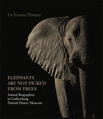 Liv Emma Thorsen, LIV Emma Thorsen - Elephants Are Not Picked from Trees, Inbunden