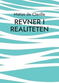 bokomslag Revner i realiteten
