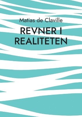 bokomslag Revner i realiteten