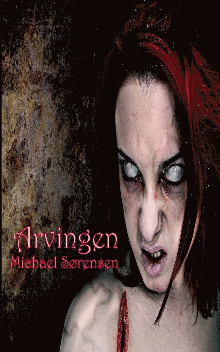 Michael Sørensen - Arvingen, Häftad