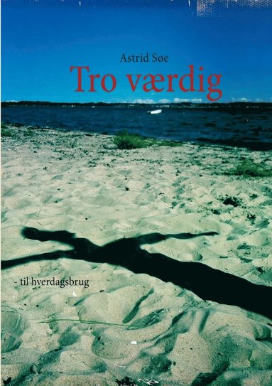 bokomslag Tro værdig