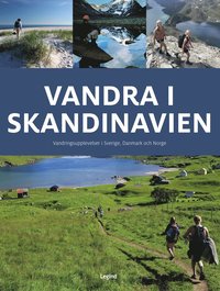 bokomslag Vandra i Skandinavien